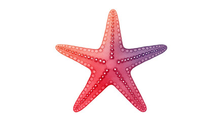 A single starfish with a gradient of red to purple on a black background is centered here