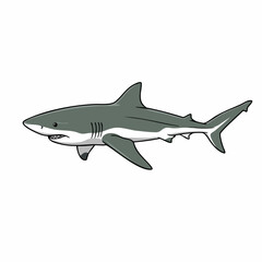 Fototapeta premium Cartoon Great White Shark Swimming with Detailed Fins and Teeth