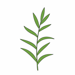 Obraz premium Simple, Elegant Green Leaf Branch Design