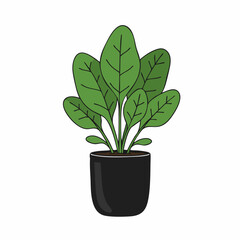 Fototapeta premium Simple Illustration of a Lush Green Plant in a Black Pot