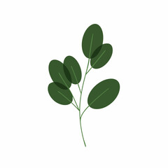 Fototapeta premium Delicate Branch with Oval Leaves in a Simple Design
