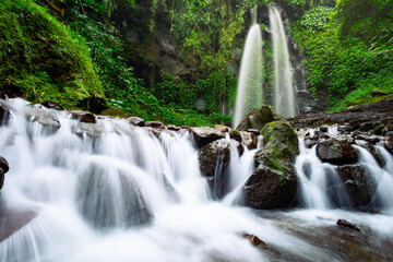 waterfall in the forest