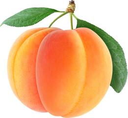 A single ripe juicy peach with two green leaves attached to its stem isolated on transparent...