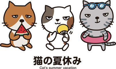 猫の夏休み