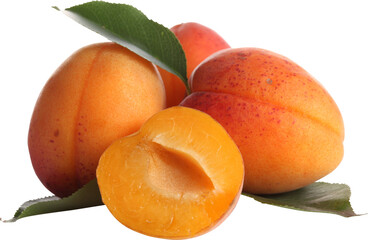 A cluster of ripe juicy apricots with a single halved fruit revealing its sweet flesh and pit isolated on transparent background