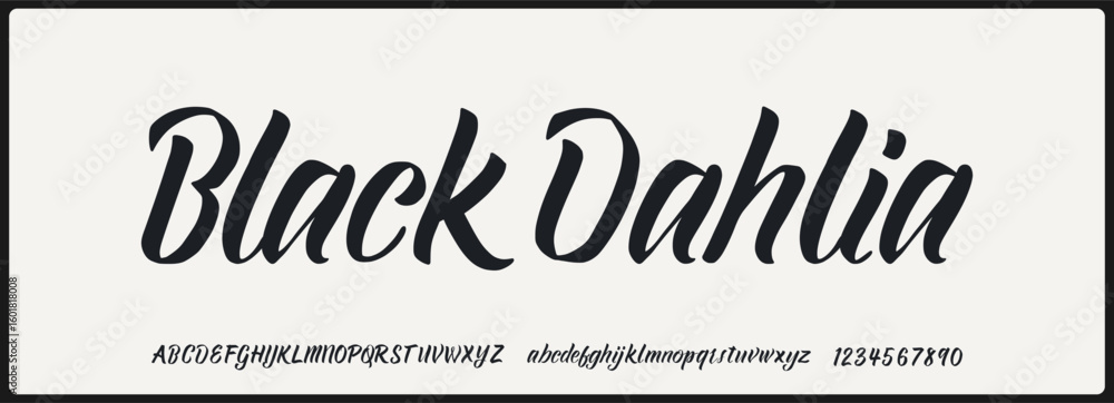 Poster hand drawn script vector font. unique uppercase, lowercase, and number alphabet with vintage style. 
