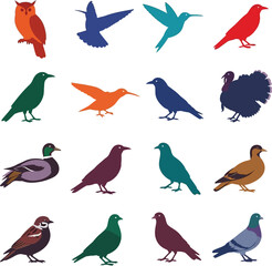 Obraz premium Collection of colorful bird illustrations including owl hummingbird and various other species