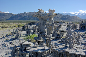 Mono Lake, California USA