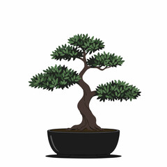 Obraz premium Stylized Bonsai Tree with Dark Green Foliage and Curving Trunk in Black Pot