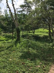 Da Nang, Hoi An, Vietnam in 2019