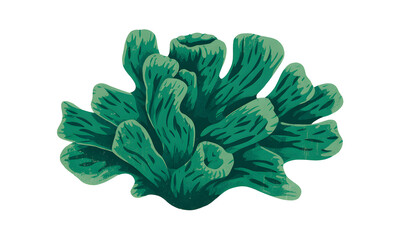 Obraz premium Illustration of Vibrant Green Coral on a Transparent Background Marine Life Underwater Sea Creature