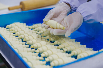 Food Production in a Factory as Worker Hand Inspects Fresh Croissants on Blue Tray in Bakery or...
