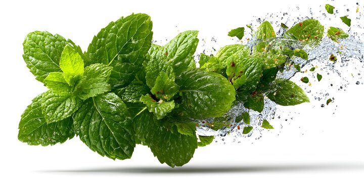 Vibrant fresh mint leaves splash into water with droplets and particles creating dynamic motion - Powered by Adobe