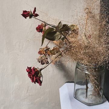 Dried roses with sunlight background, aesthetic photo concept
