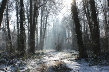 Obraz premium Fontenay s winter atmosphere