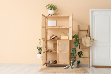 Interior of hallway with closet, ladder and women's shoes