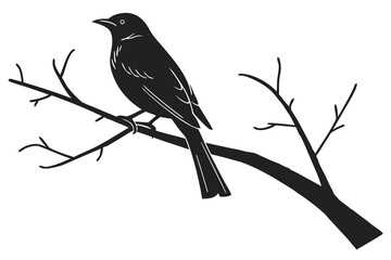 Fototapeta premium bird on a branch