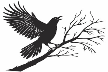 Obraz premium silhouette of a bird