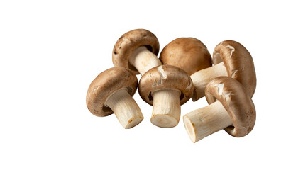 Fresh Brown Mushrooms Closeup Still Life