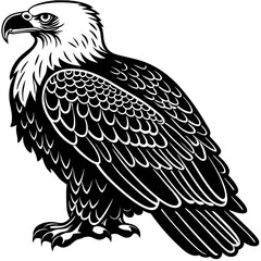 Stylized majestic bald eagle illustration