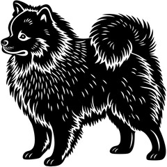 Fluffy pomeranian dog silhouette graphic