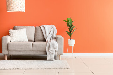 Comfortable beige sofa and houseplant near orange wall in interior of living room