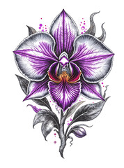 Pixelated Purple Orchid Blossom With Intricate Petal Design on Transparent Background in Digital Art Style
