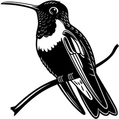 Stylized minimalist black and white illustration design