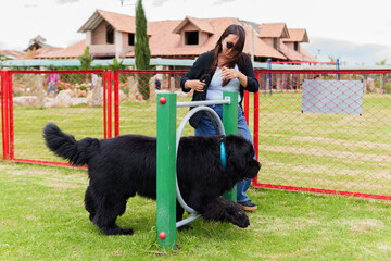 Woman training her newfoundland dog in a park