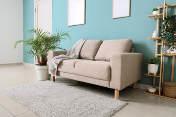 Comfortable sofa, shelving unit and houseplants in interior of living room, closeup