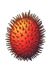 Pixelated Spiky Sphere with a Red and Orange Gradient on a Transparent Background Geometric Digital Illustration Decorative Graphic Style