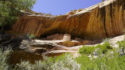 Monarch Cave is located in Butler Wash on the east side of Comb Ridge near Bluff, Utah.That cave contains the remains of an Ancestral Puebloan cliff dwelling. 