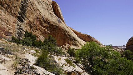 Monarch Cave is located in Butler Wash on the east side of Comb Ridge near Bluff, Utah.That cave contains the remains of an Ancestral Puebloan cliff dwelling. 