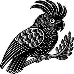 Stylized solid black silhouette of a parrot