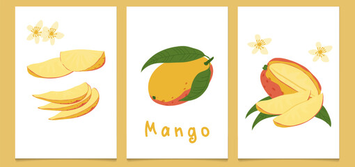A set of vintage posters featuring ripe mangoes, hand-drawn. A modern botanical print with hand-drawn mangoes, leaves, and flowers.