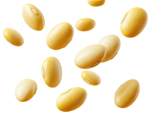 Yellow soybeans in mid-air,  a scattering of light gold-colored, oval-shaped seeds