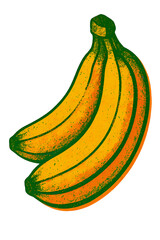Stylized Bananas Still Life Isolated on Transparent Background Representing Tropical Fruit Sweet and Organic Food in Yellow and Green Color