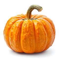Vibrant orange pumpkin with ribbed texture and green stem gourd
