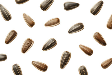 Scattered Black Oil Sunflower Seeds Isolated on White or Transparent Png