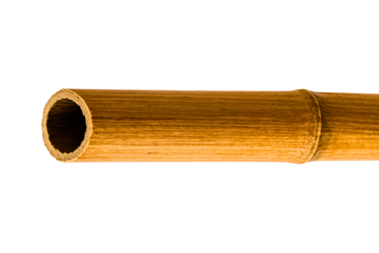 Single hollow section of a natural dry bamboo stalk on a transparent background