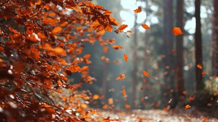 Peaceful Autumn Pathway with Falling Leaves and Sunlight Filtering Through Trees in a Lush Forest Setting