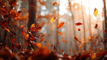 Autumn Leaves Falling in Enchanting Forest with Warm Light and Soft Focus on Nature's Seasonal Beauty and Tranquility