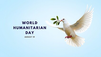 White dove with olive branch symbolizing world humanitarian day