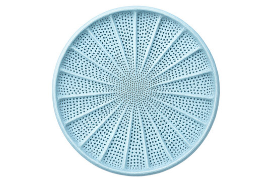 Circular diatom micrograph with radial perforated silica shell on a transparent background
