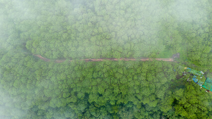 Aerial view of a misty green forest covered in morning fog, creating a serene and mysterious...