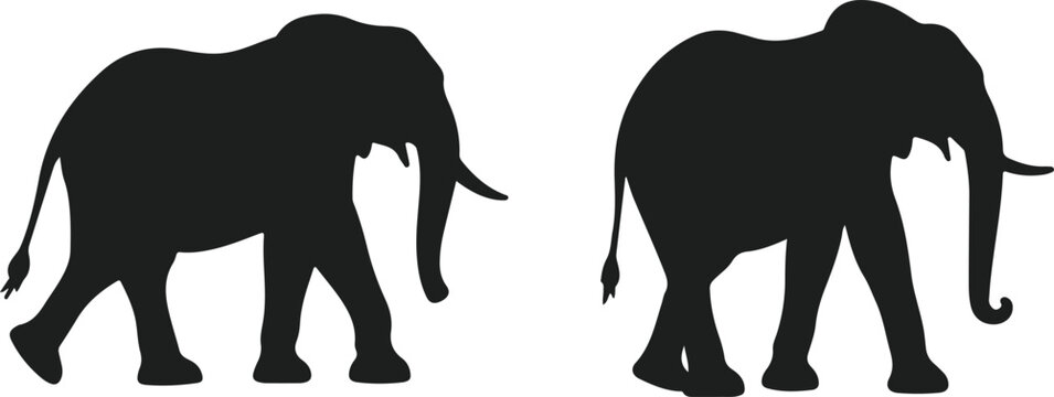 silhouettes of elephants on a white background