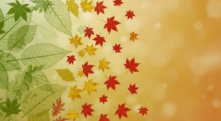 Colorful leaves transition from green to red, with bokeh background. Some leaves are translucent. Autumnal and aesthetic