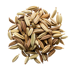 Close up pile of dry fennel seeds on transparent background culinary spice photography
