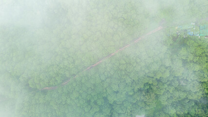 Aerial view of a misty green forest covered in morning fog, creating a serene and mysterious...