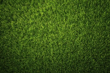 Obraz premium Green grass backdrop aerial view